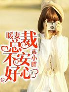 暖婚总裁别玩了安立行