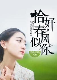 恰似春风遇到你