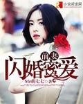 前妻再嫁我一次闪婚厚爱