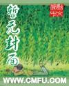 华丽的崩溃完整版