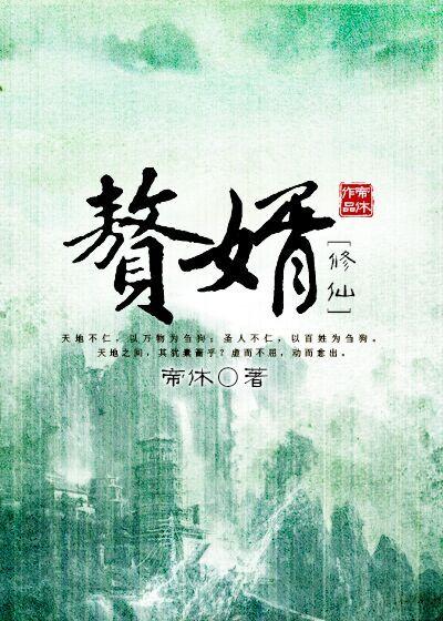 赘婿修仙传短剧免费观看
