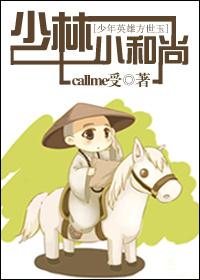 少林俗家弟子方世玉是哪部电影