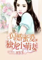 闪婚蜜爱独宠小萌妻免费阅读