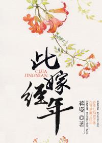 此婚已经年白倾念全文免费