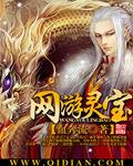 网游灵宝全文TXT