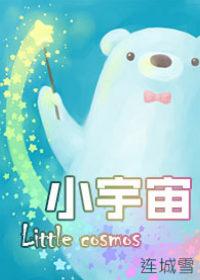 小宇宙大能量什么意思