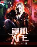 掌机王pdf百度