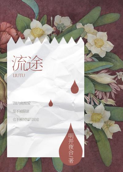 流途红颜伴