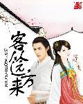 客从远方来解析