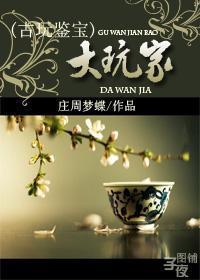 鉴宝大玩家百科