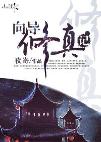 向导修真记 作者夜寄