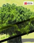 洪荒之榕植万界txt