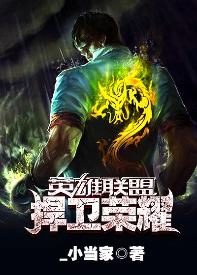 英雄联盟之捍卫荣耀全文免费阅读