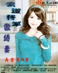霸道将军俏军师情节