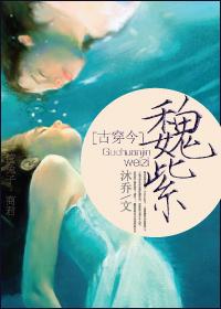 古穿今魏紫