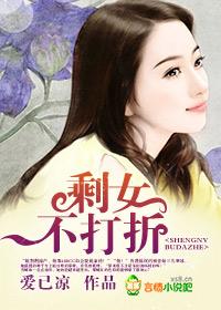剩女不打折全文免费阅读252