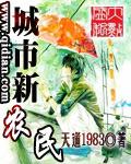 城市新农民TXT百度