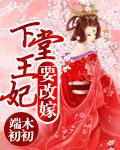 下堂王妃要改嫁讲的什么