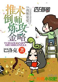 莉莉妮和炼金术师攻略