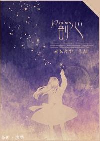 剖心过半完整版