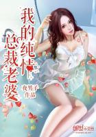 总裁的纯情老婆尹哲昊