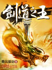剑道之王全文TXT
