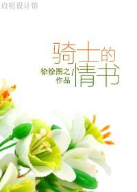骑士的情书by徐徐图之讲什么
