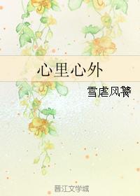 心里心外定制