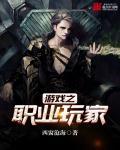 游戏之职业人生