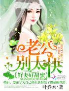 鲜妻好甜蜜老公别太坏全集免费观看
