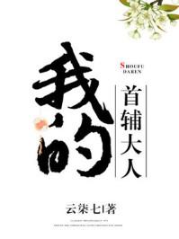 我的首辅大人