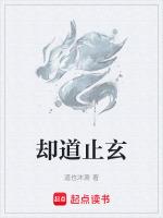 却道止玄