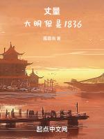 丈量：大明但是大同纪元